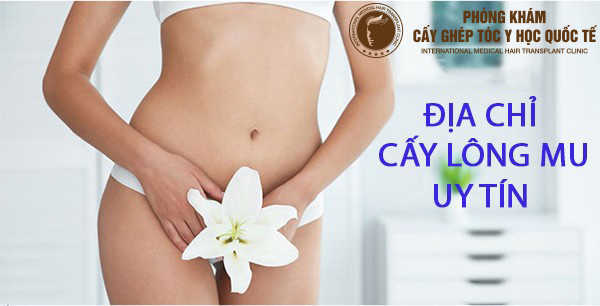 Cấy lông vùng kín ở đâu Hà Nội? Top 5 địa chỉ uy tín, tin cậy bạn nên chọn