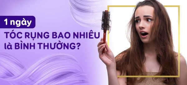 Một ngày rụng bao nhiêu tóc là bình thường? Giải đáp từ chuyên gia